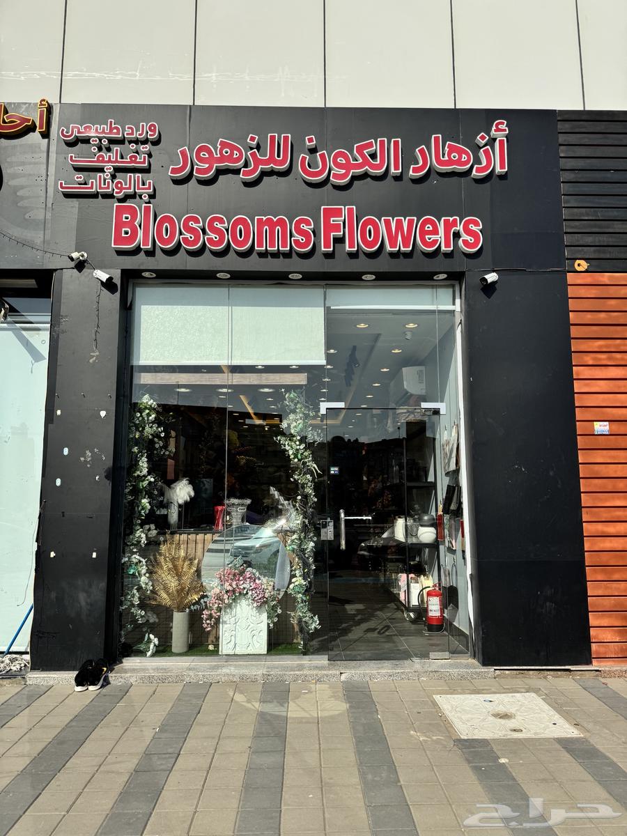 محل للتقبيل حي الحمدانيه الشارع العام634378583255051124