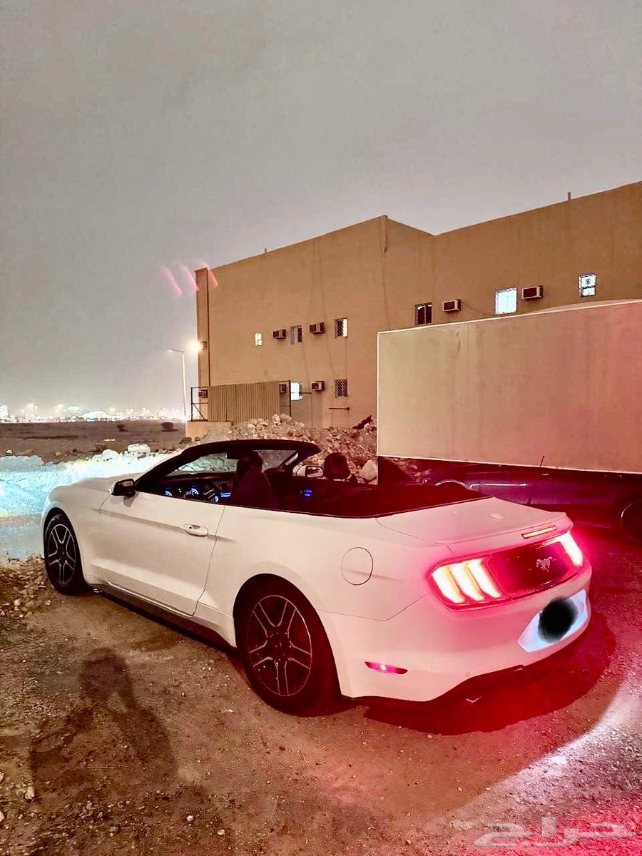 موستنج 2020 كشف63055054193666111