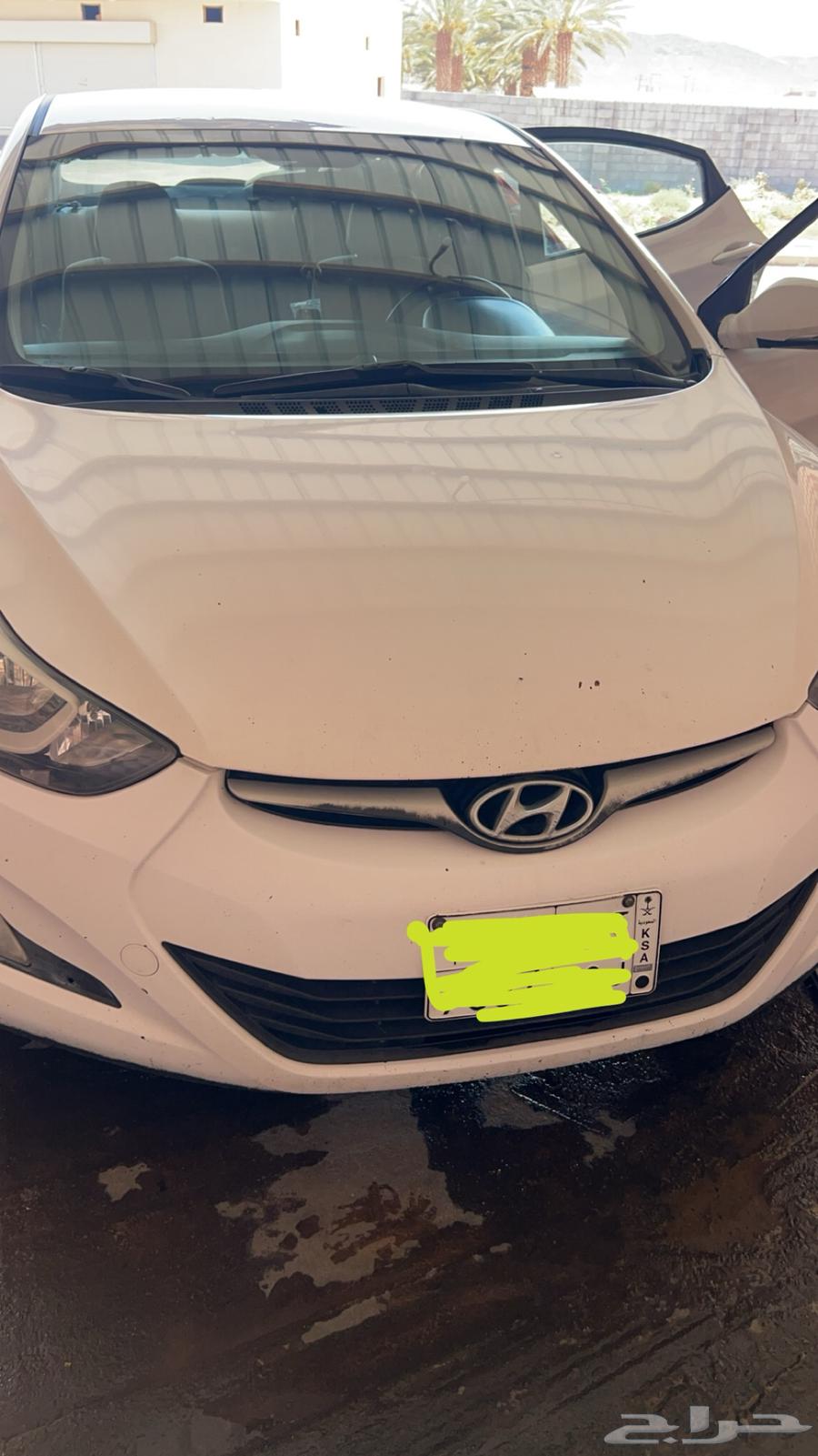 النترا63051878390402113