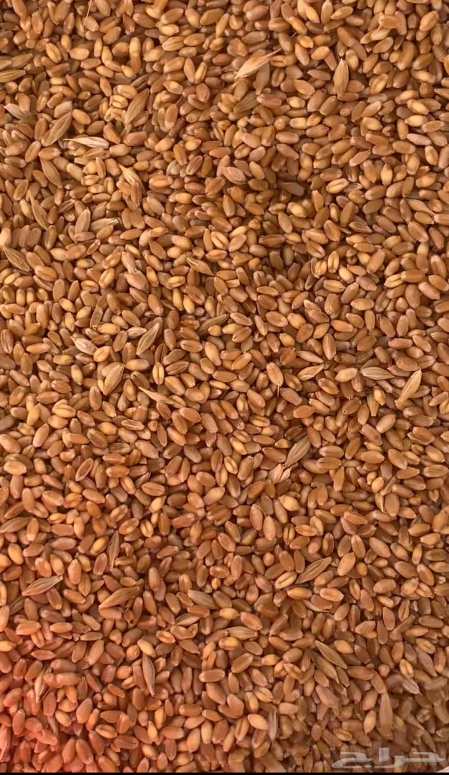 My country is free of any additives and new production63036211160961111