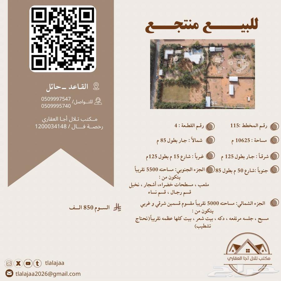 للبيع منتجع بالقاعد63011595469698111