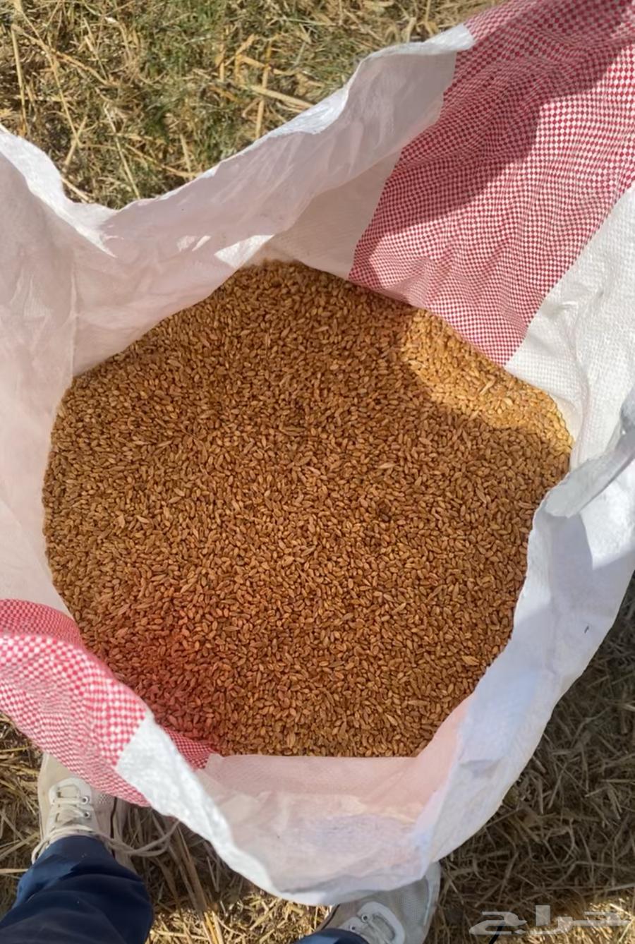 My country is free of any additives and new production630362111609611122