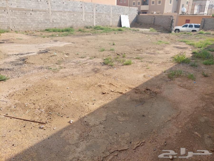 Land in Abha Al-Sharif area, 600 square meters, street 10, required 650 thousand63013827039618113