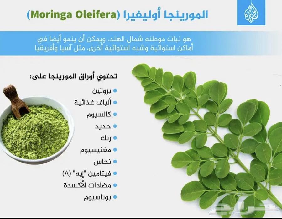 Organic moringa63470549544322112