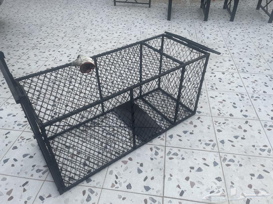 مصيدة حيونات63037477773441111