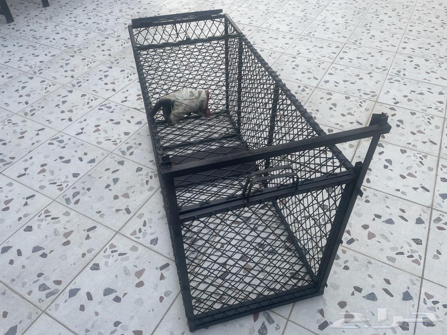 مصيدة حيونات630374777734411118
