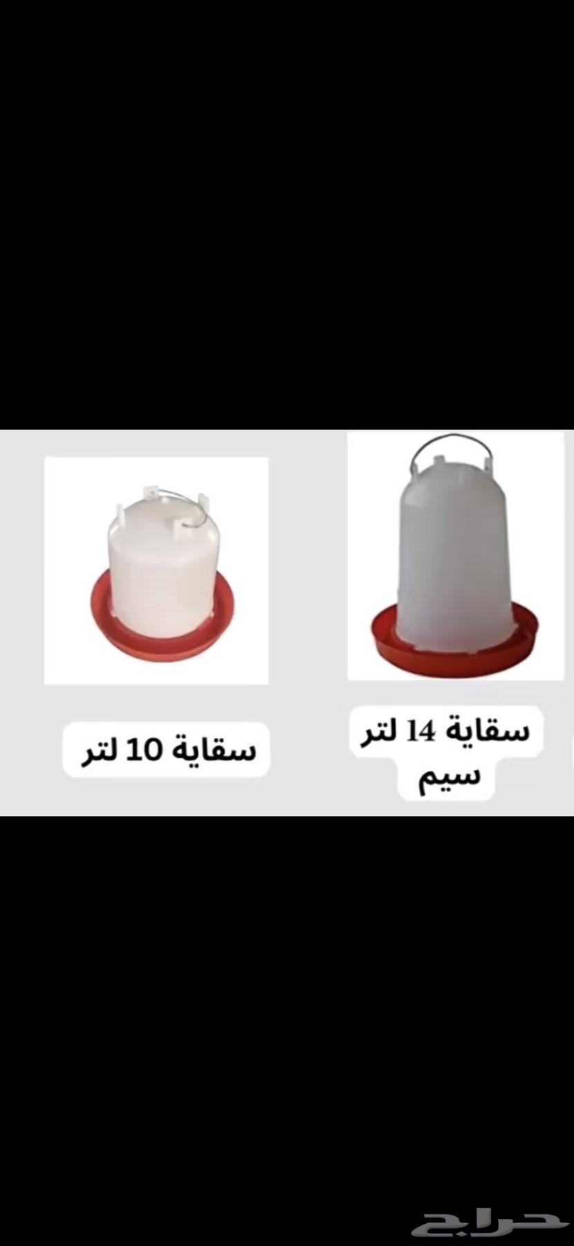 سقايات في الجبيل63037051848962114