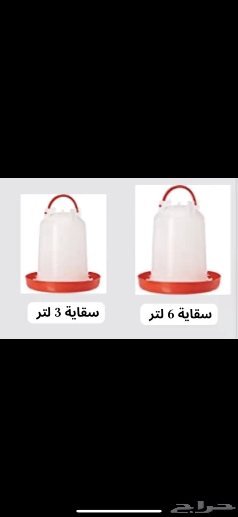 سقايات في الجبيل63037051848962113
