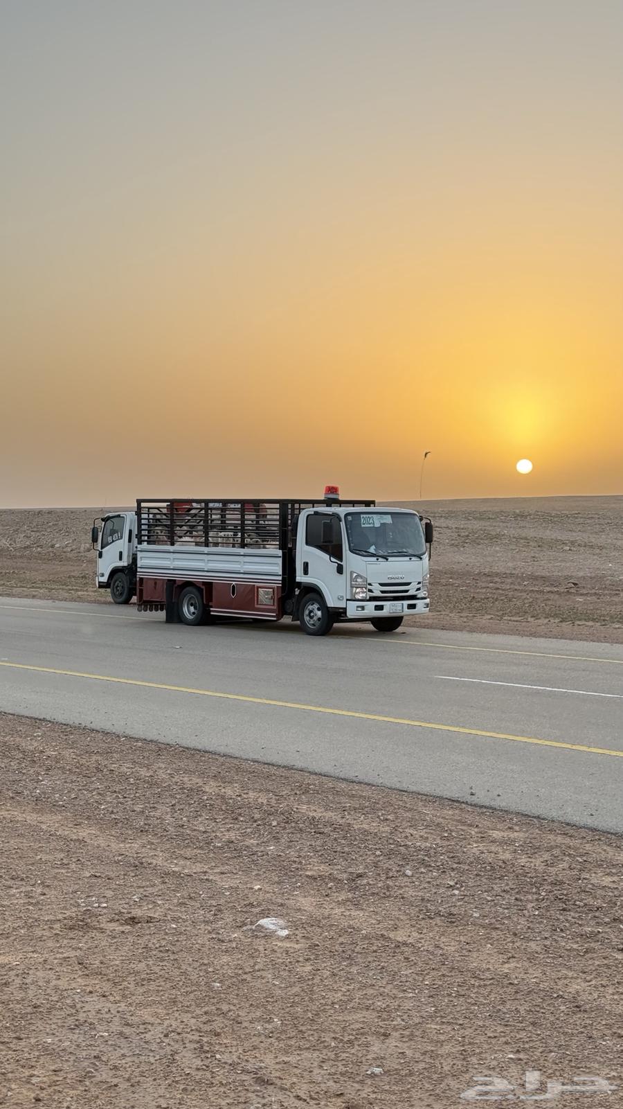 Religion of transporting within Tabuk and its exit63013837833858111