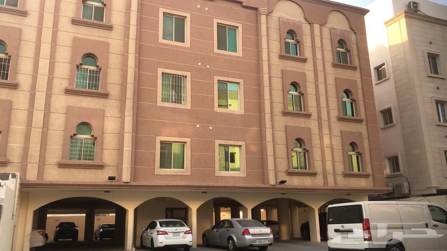 للايجار شقة في تلال الدوحة630109186799381128