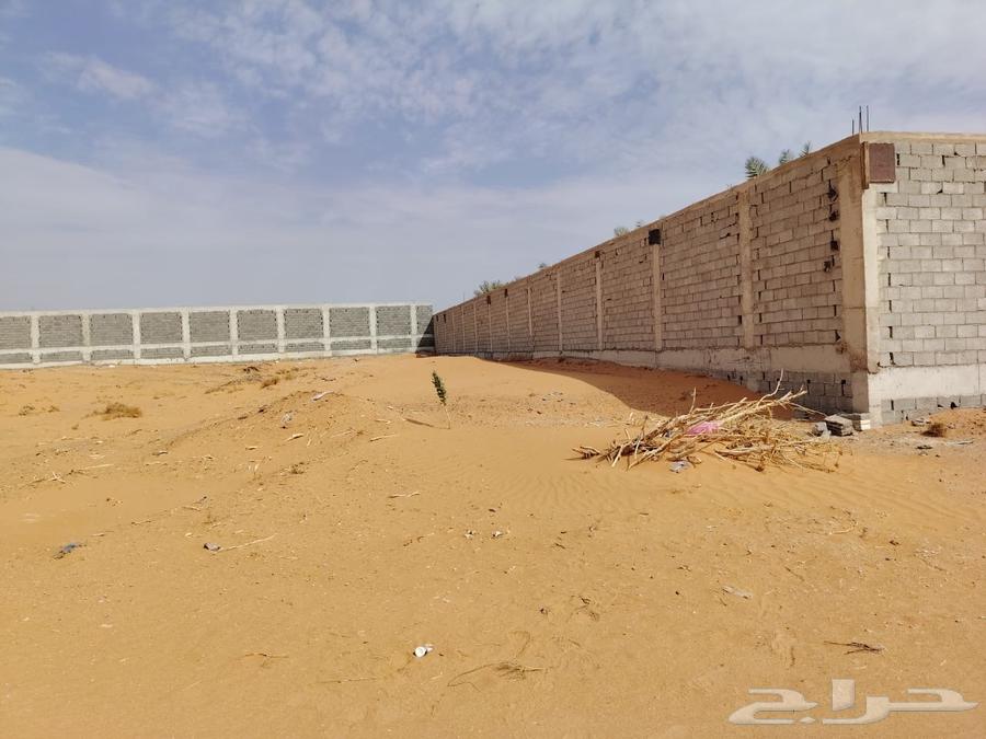 ارض للبيع