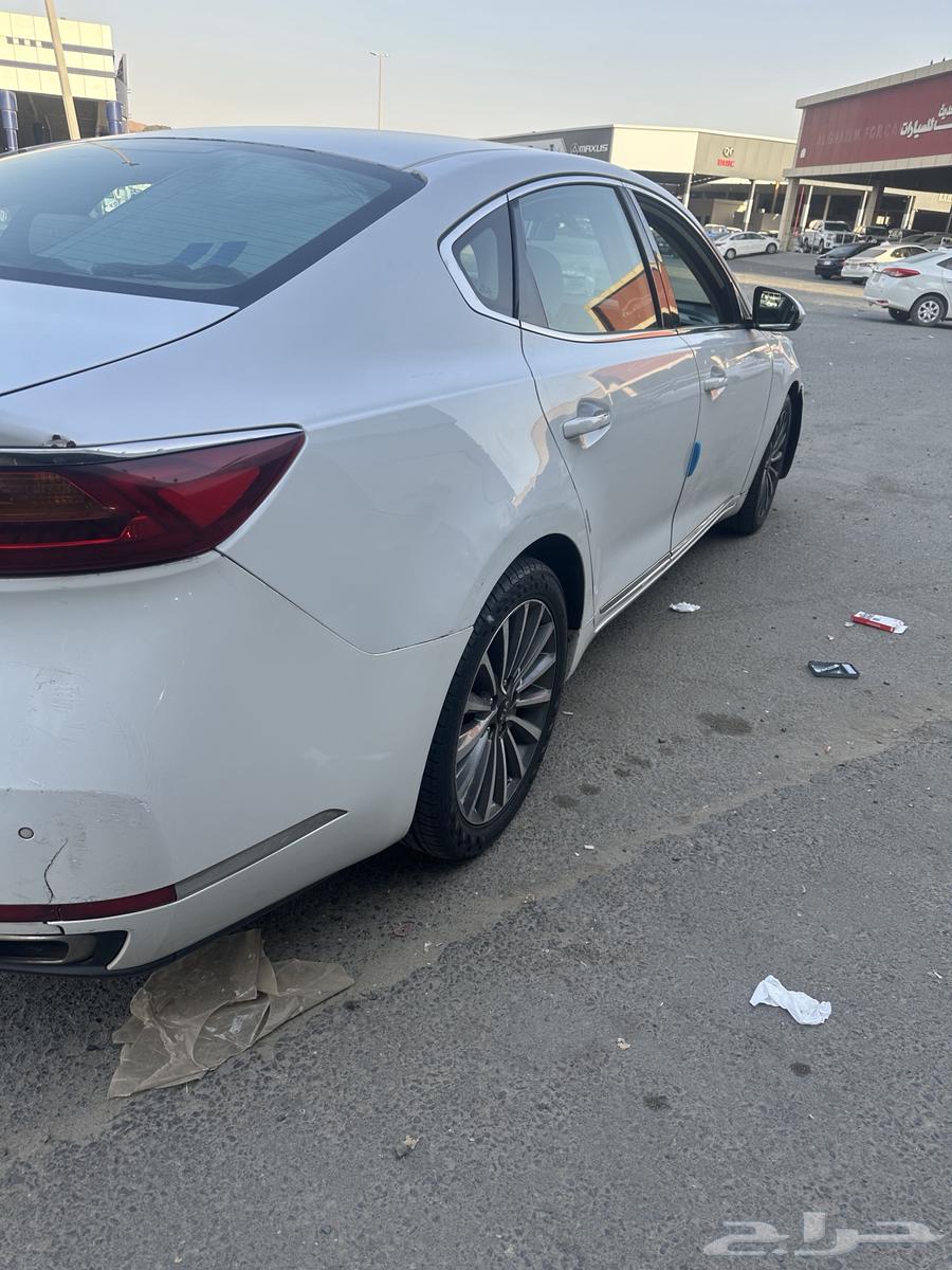 كادينزا 201763048498716162113