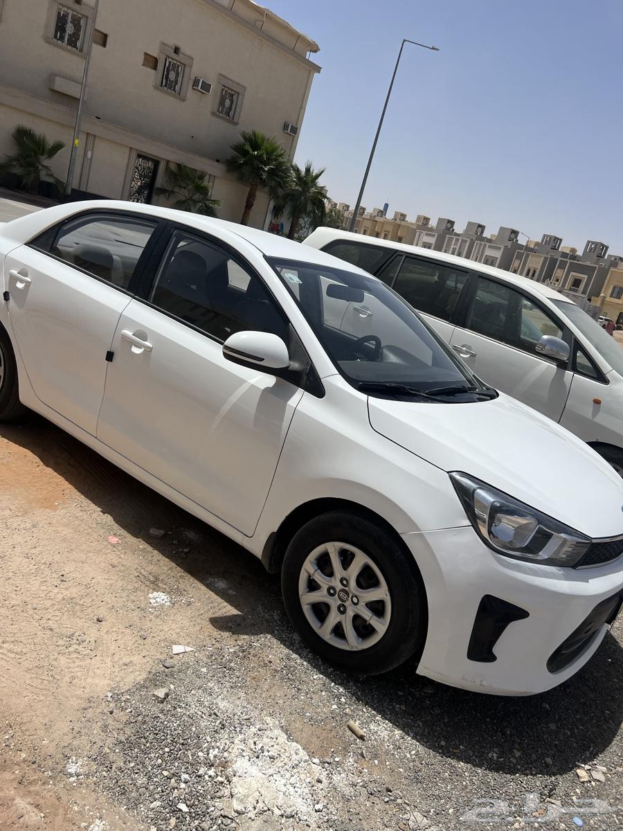 إيجار كيا بيجاس63048455704195112
