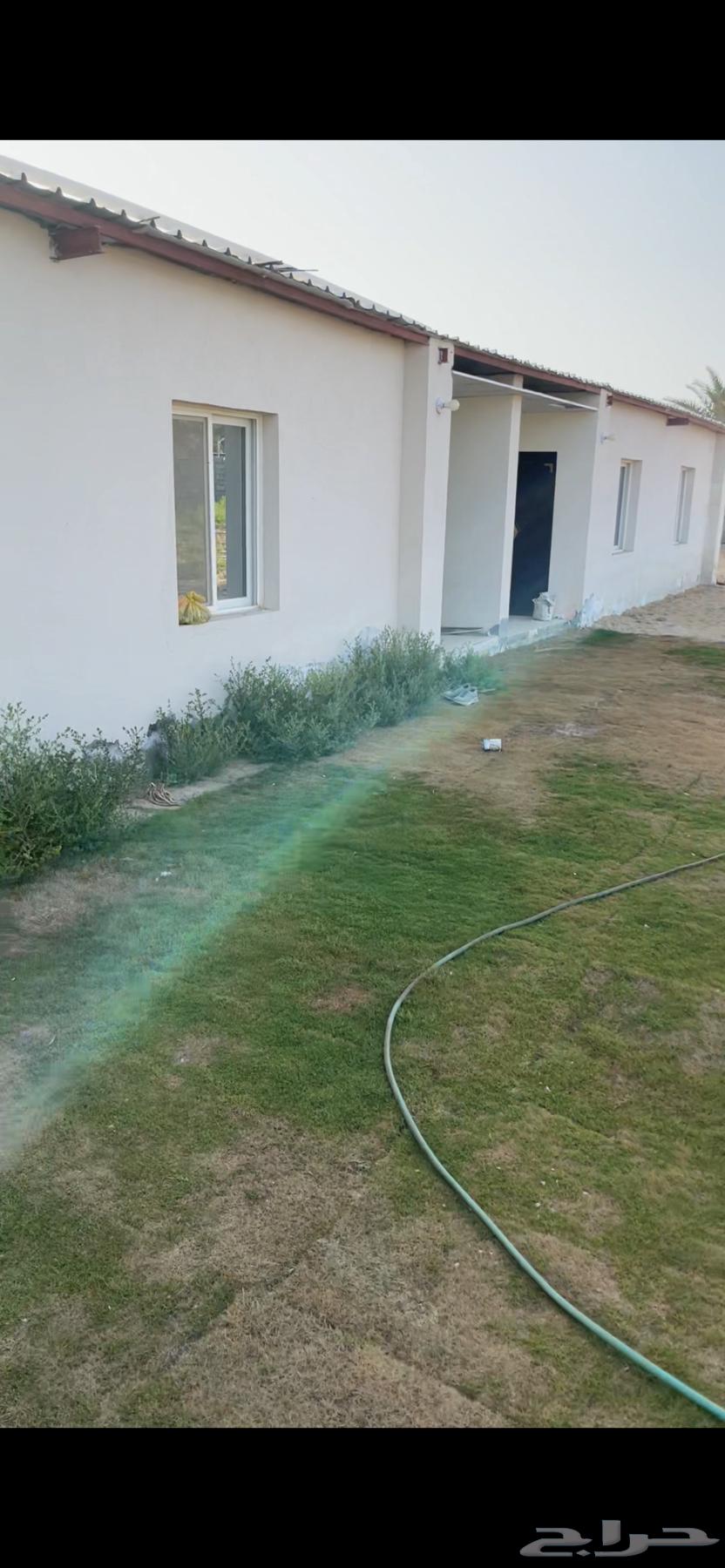 للايجار حوش مساحة 3000 متر مع سكن للشركات63013390229633113
