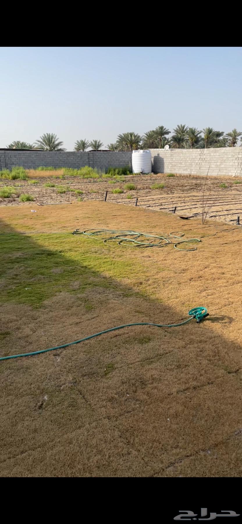 للايجار حوش مساحة 3000 متر مع سكن للشركات63013390229633111