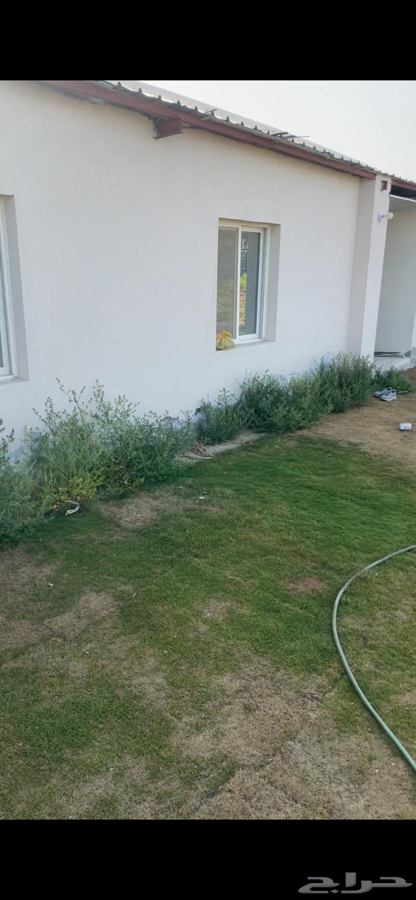 للايجار حوش مساحة 3000 متر مع سكن للشركات63013390229633114