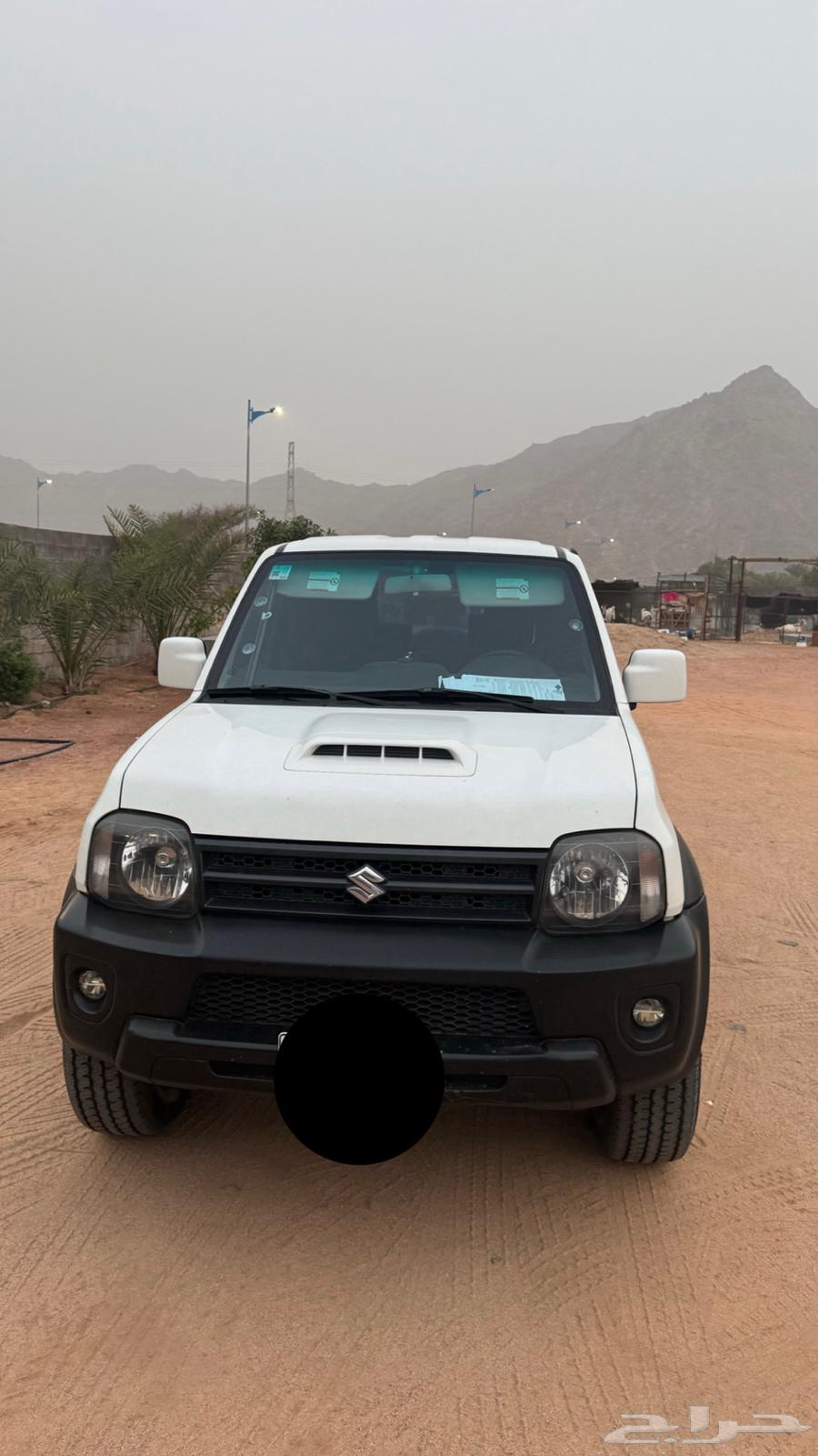 Suzuki Geminis 201463031641309314113