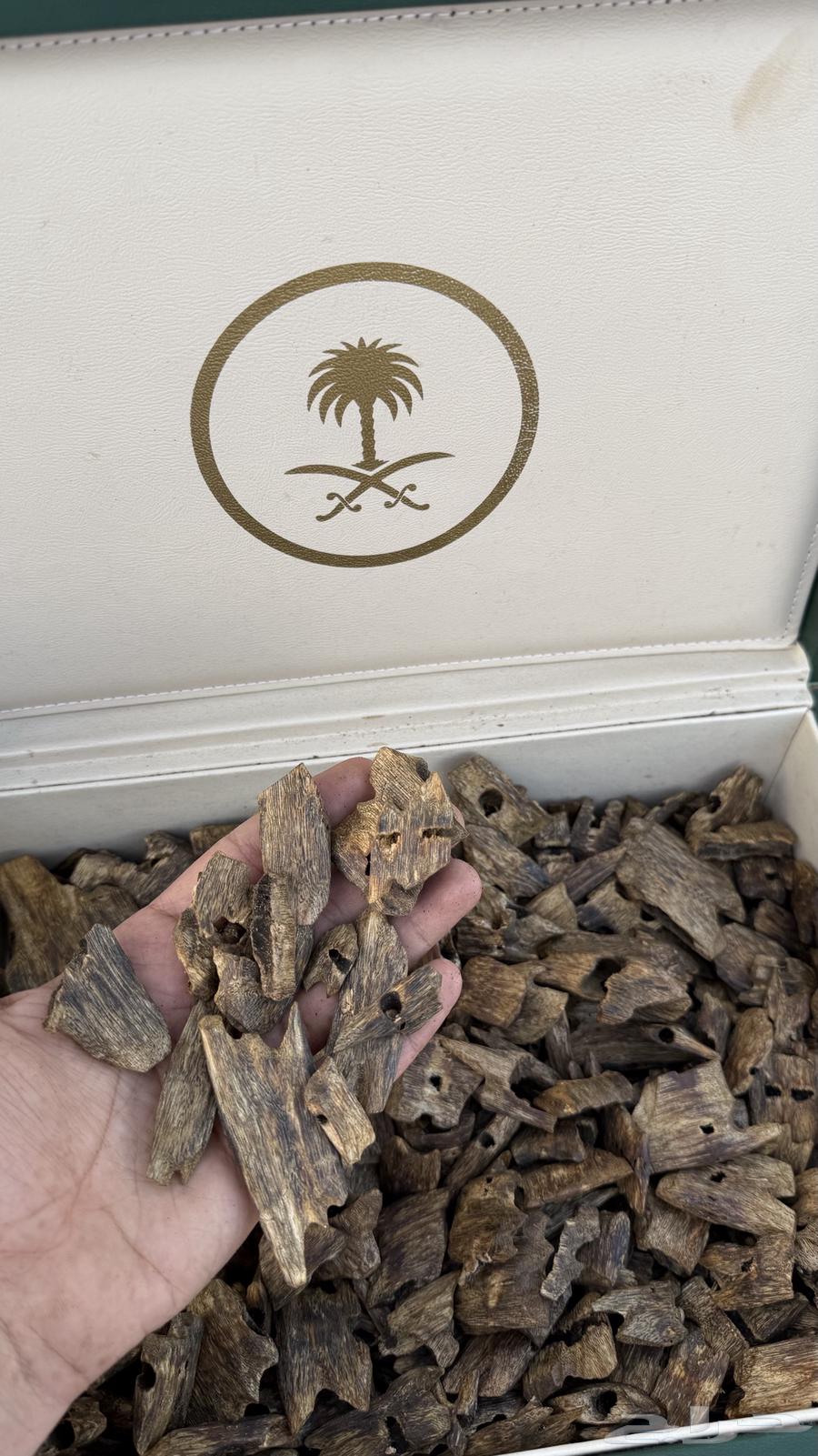 عود صيني كينام جملة630333831338271128