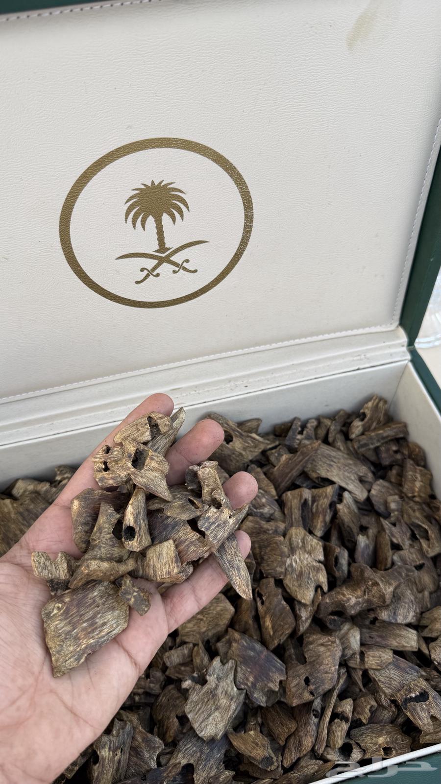 عود صيني كينام جملة63033383133827111