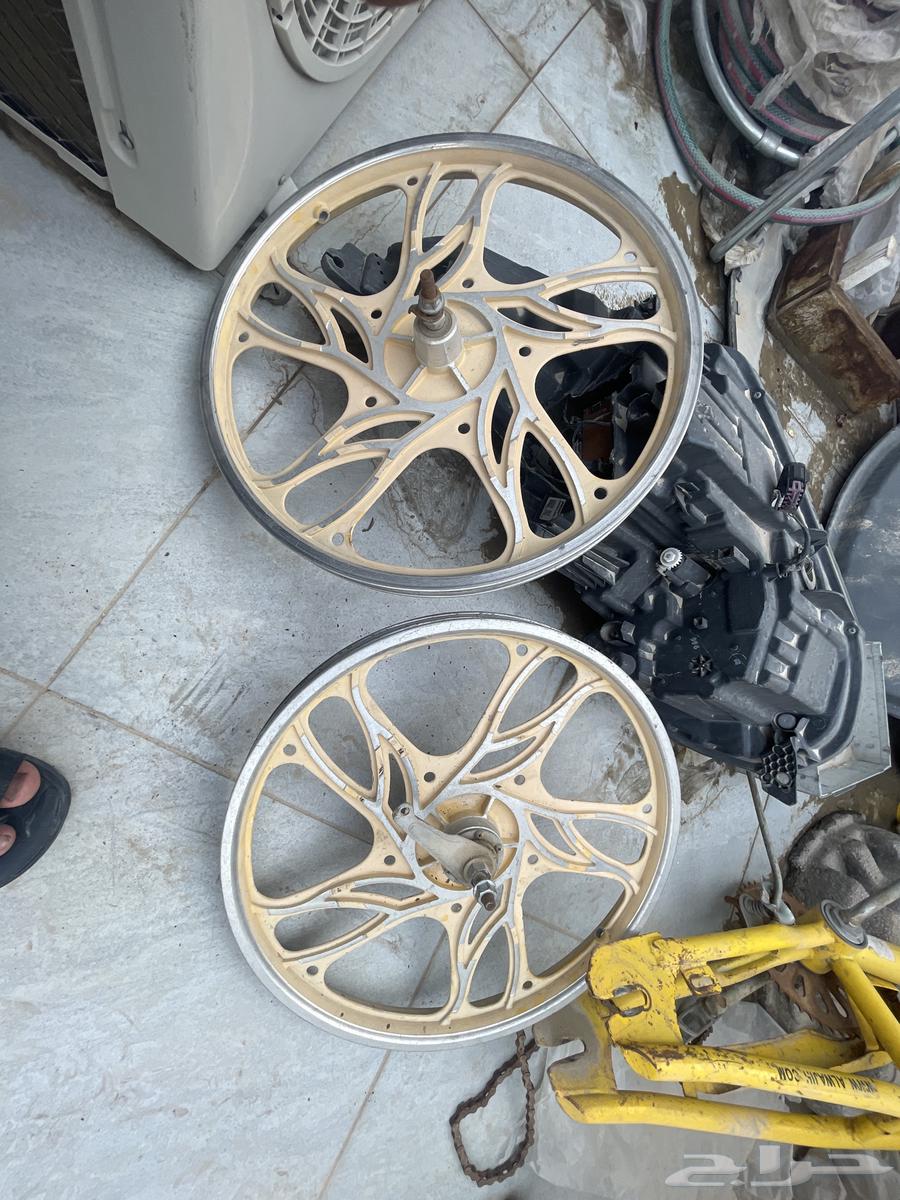 جنوط كوبرا63045234675202111