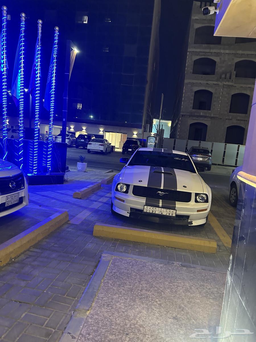 Shelby GT350 Mustang 200763043537809538111