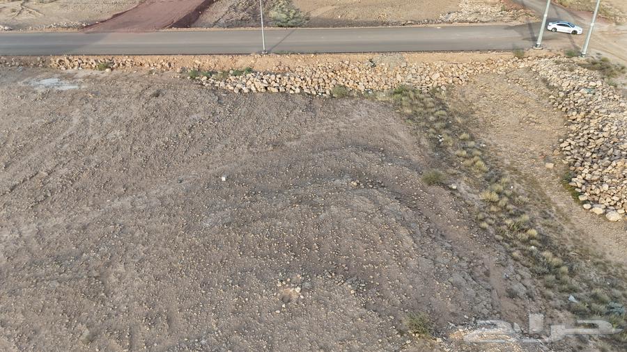 Land for sale in Al-Shuqaiq, the new development plan630133860515851115