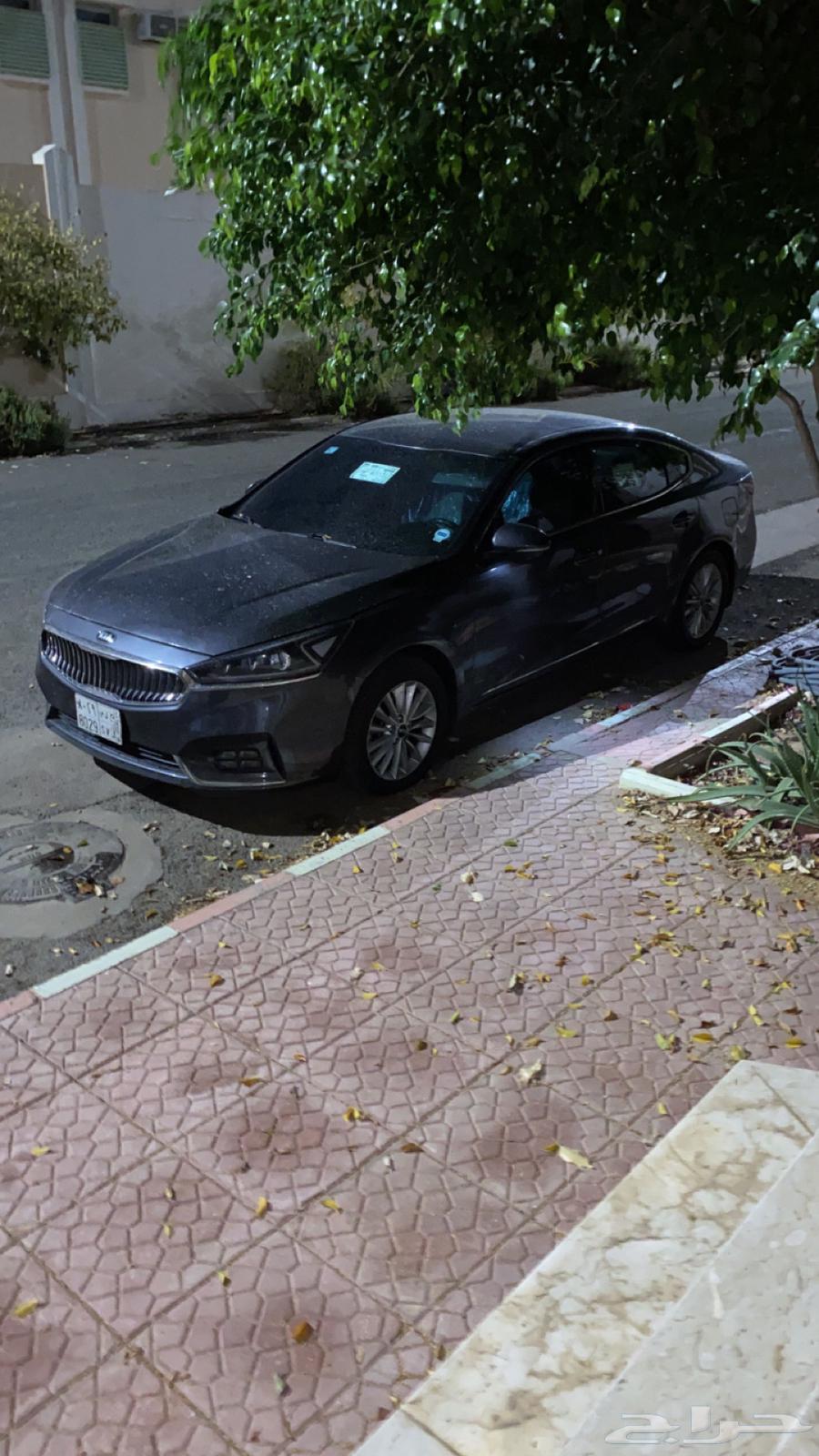 كدنزا للبيع 201763043576376193112
