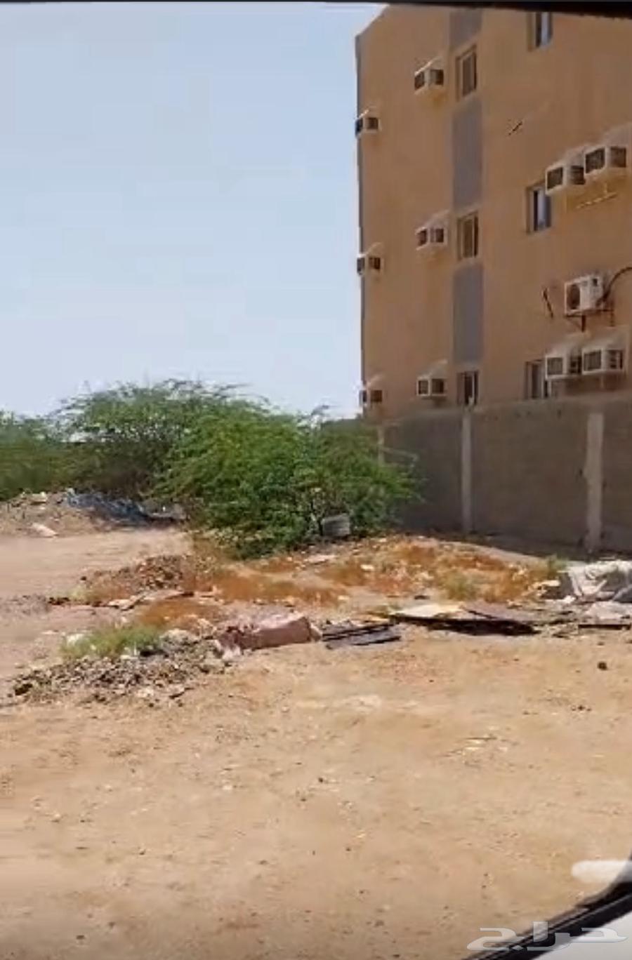 Commercial land for sale - Rabigh - Al-Murjanah district63012954697602112
