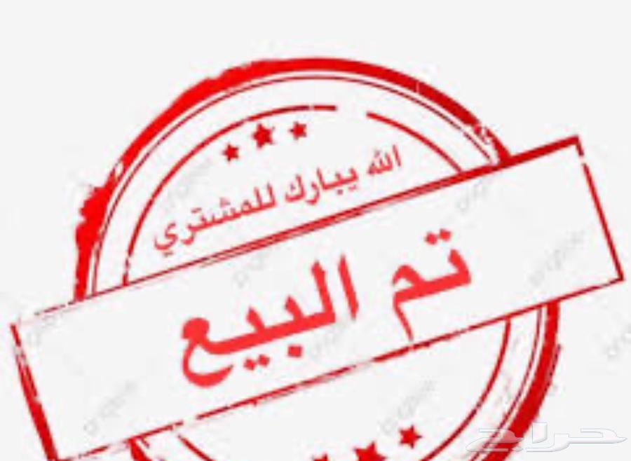 ديك فيومي وخمس دجاجات تم البيع63076574568707112