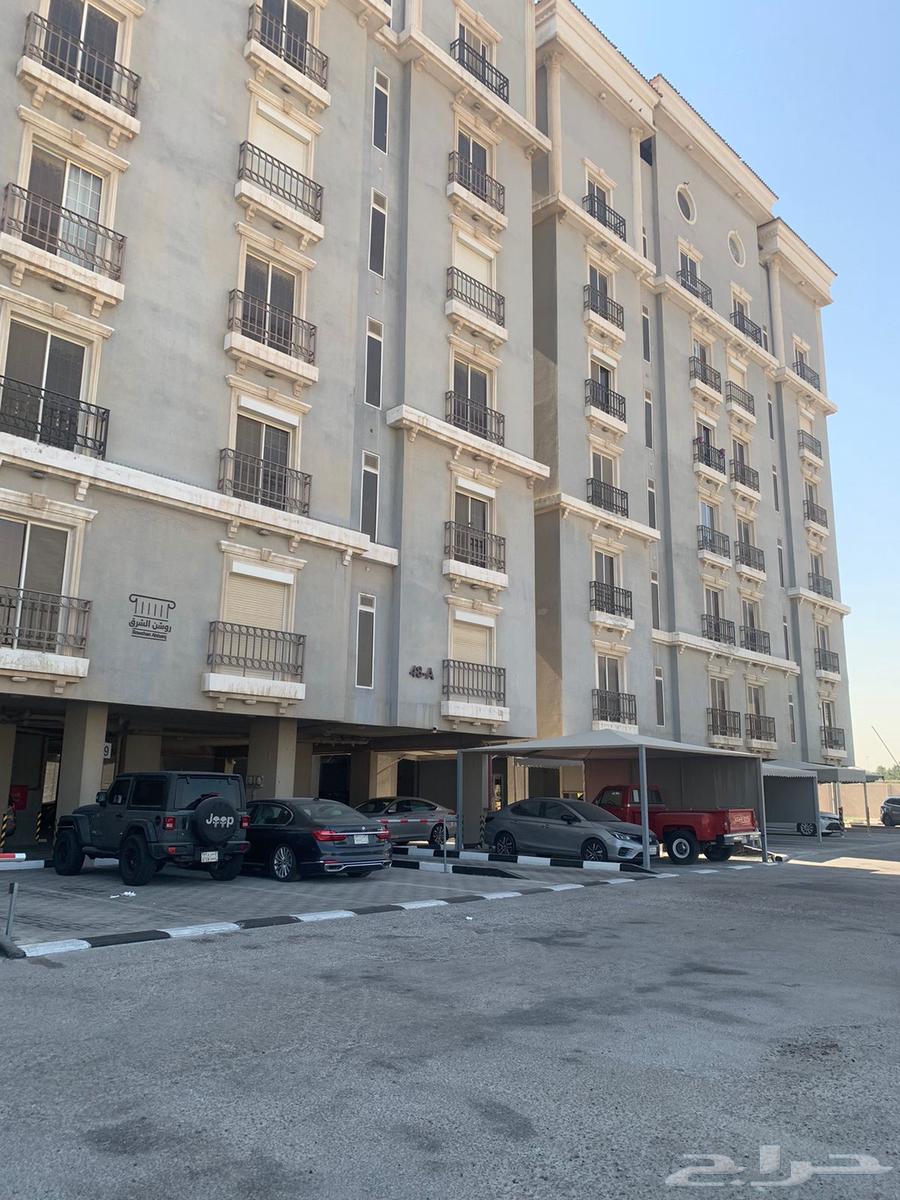 Apartment for rent in Al-Andalus630115976569621127