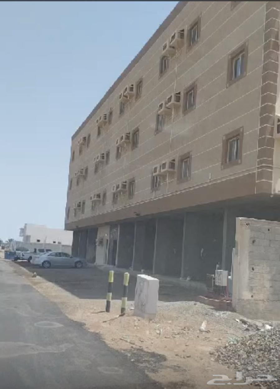 Commercial land for sale - Rabigh - Al-Murjanah district63012954697602113