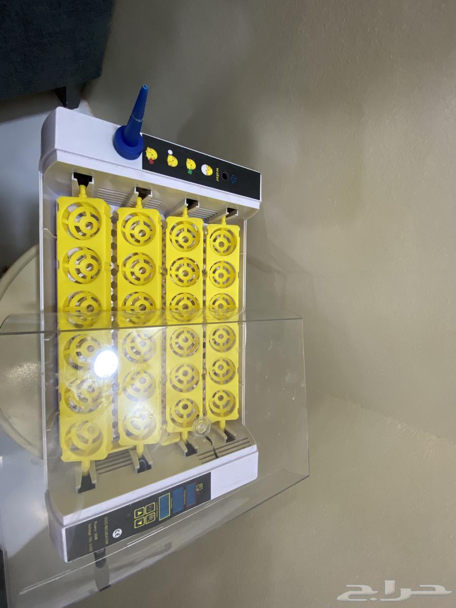 A brand new incubator, used, holds 24 eggs, maximum 28063030326617603113