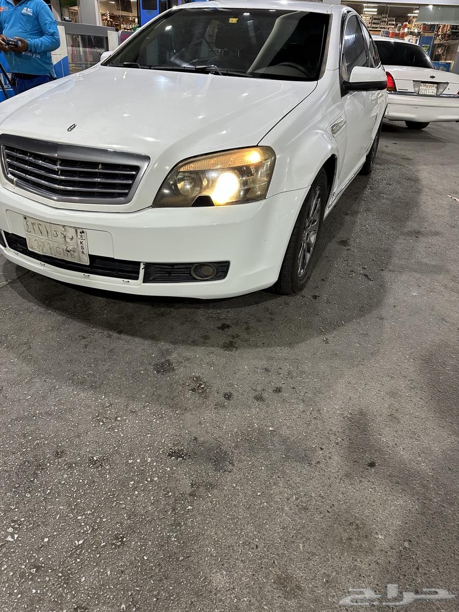 كابرس ابيض رويال 200763043205576066114