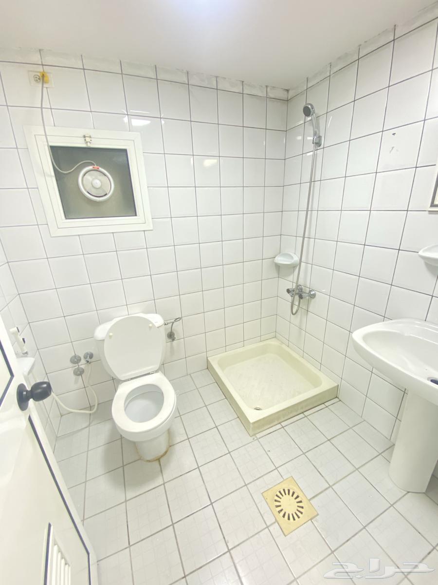 Apartment for rent in Al-Anoud district63012954499715113