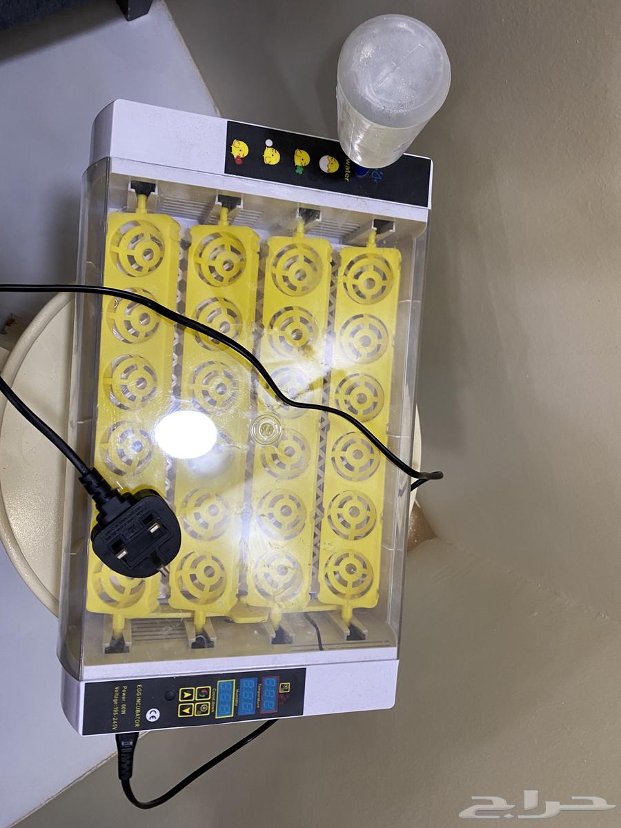 A brand new incubator, used, holds 24 eggs, maximum 28063030326617603112