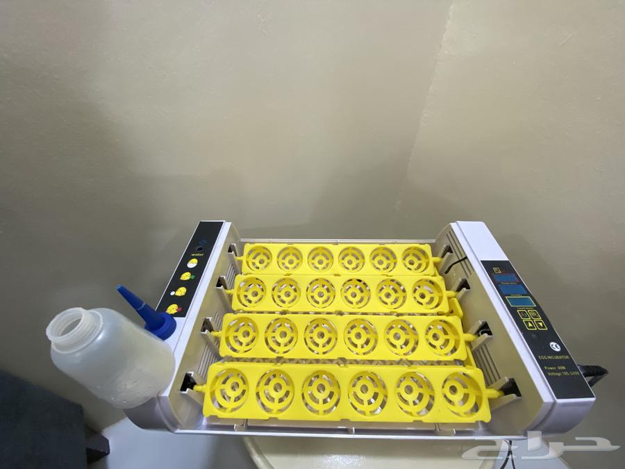 A brand new incubator, used, holds 24 eggs, maximum 28063030326617603111