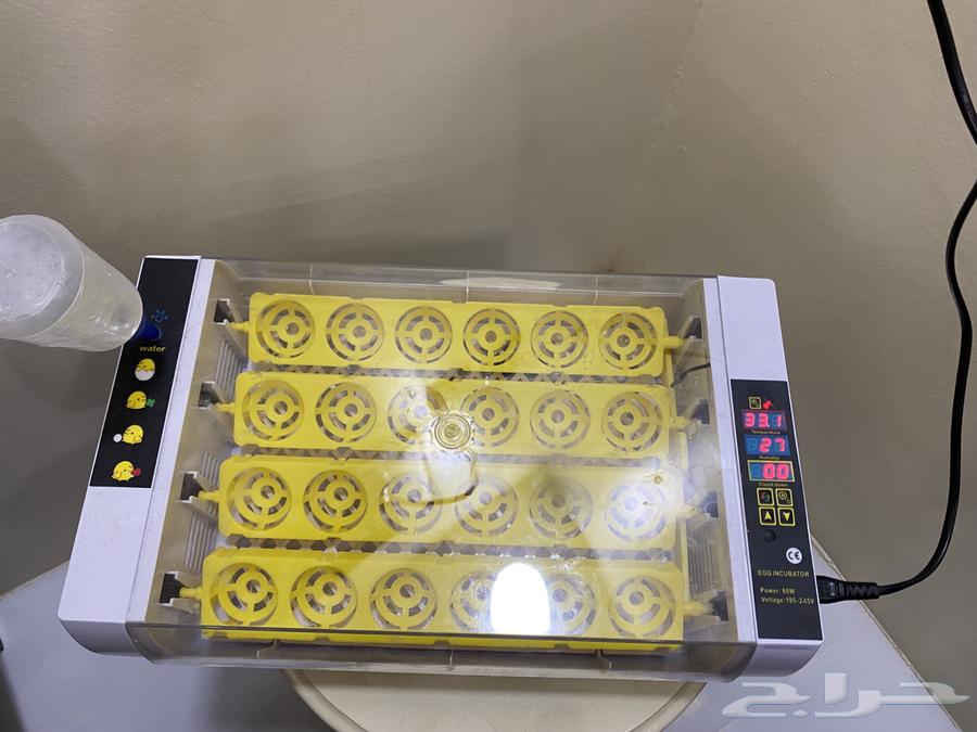 A brand new incubator, used, holds 24 eggs, maximum 28063030326617603119