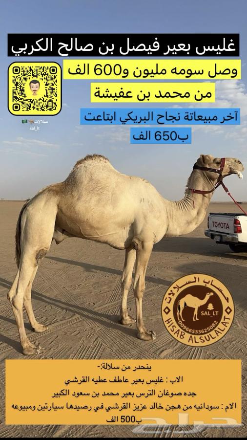 اصيل لقحه630307782950421122