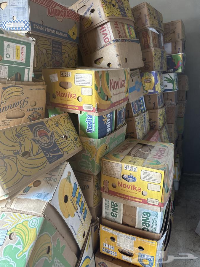 1000 pieces for sale, price 5 Riyals per carton for dates and tomatoes63029432970754111