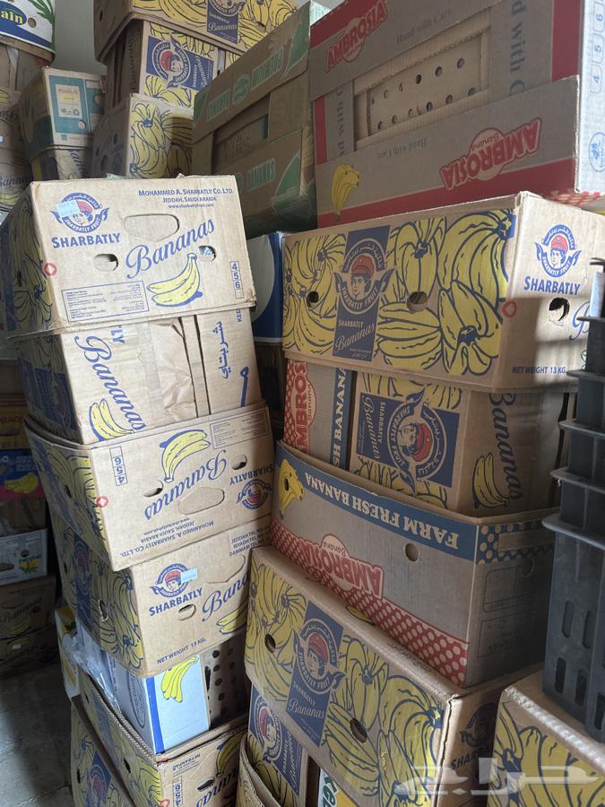 1000 pieces for sale, price 5 Riyals per carton for dates and tomatoes630294329707541121