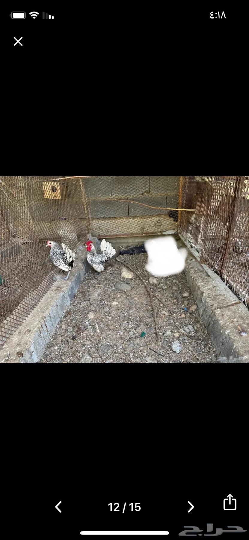 Sold pair of sprites for sale63031209972097112