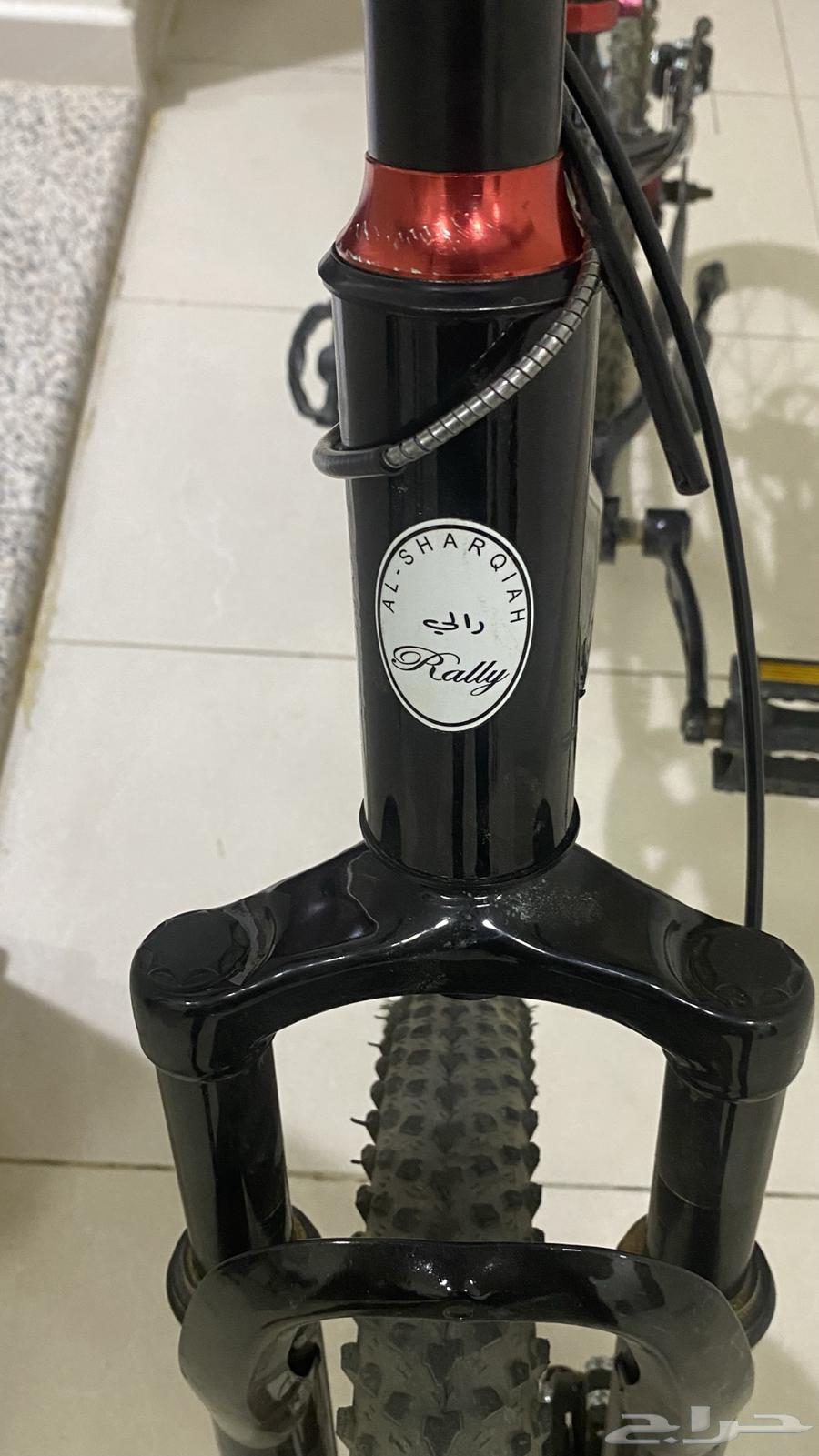 20" Rally Bike, Almost New63025528139394113