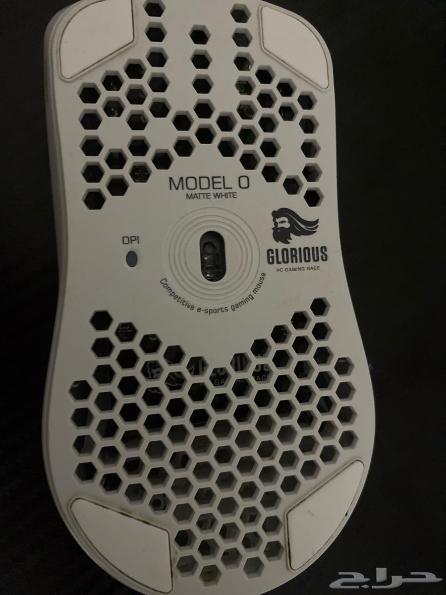 Gloris mouse model o mavi any holiday user month63026406589571111