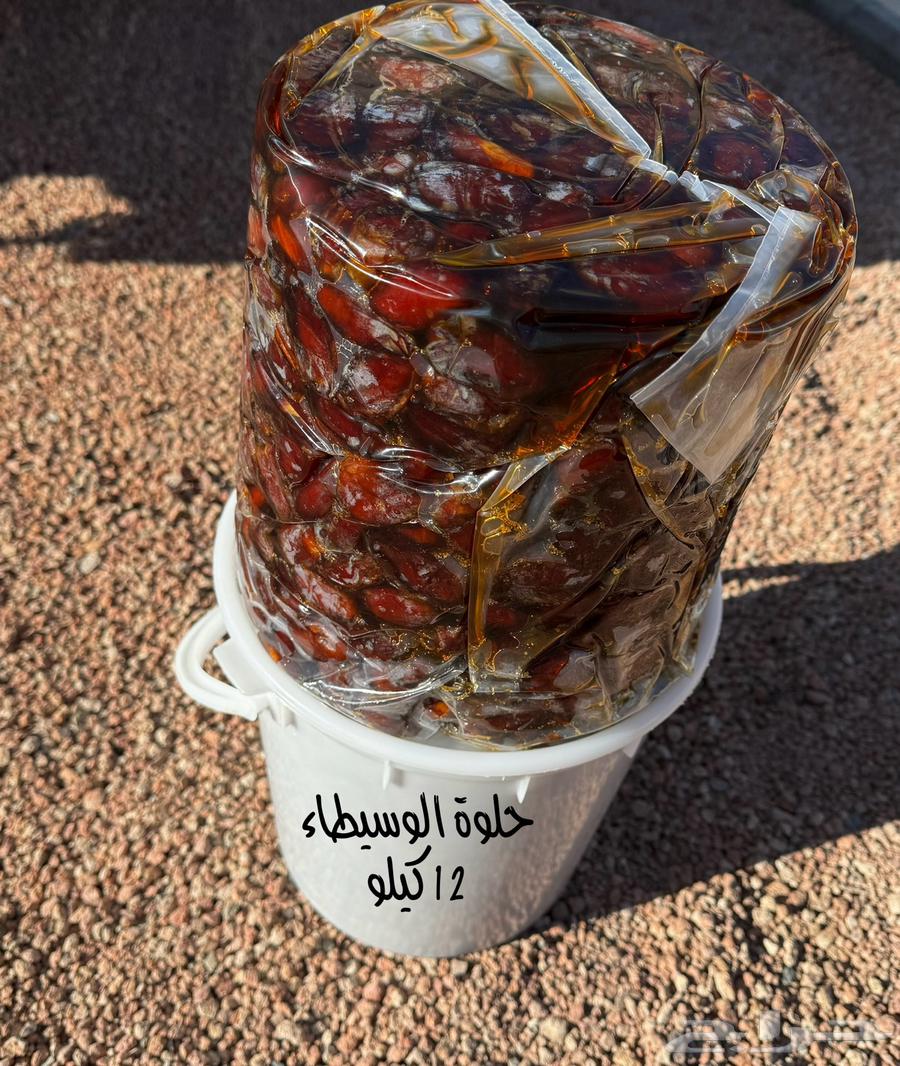 تمر حلوه للبيع630268313100811129