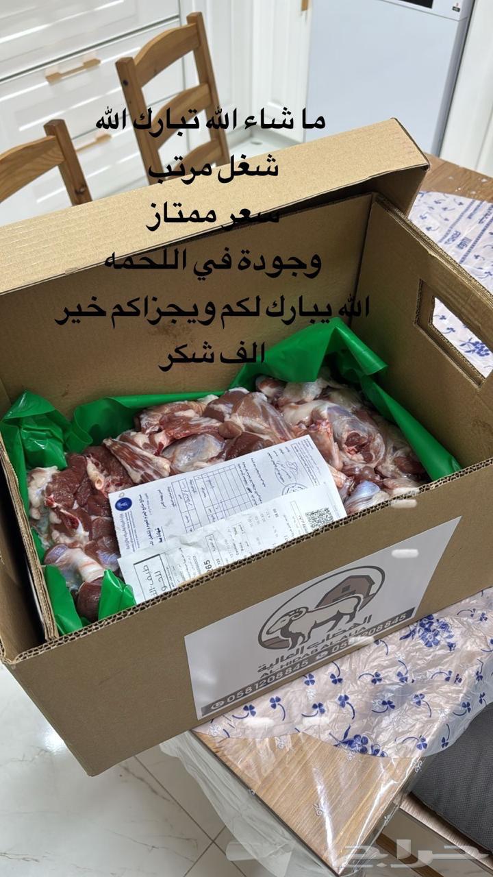 للبيع تيوس بريه مميزه مليانه شحم و لحم63026826210049112