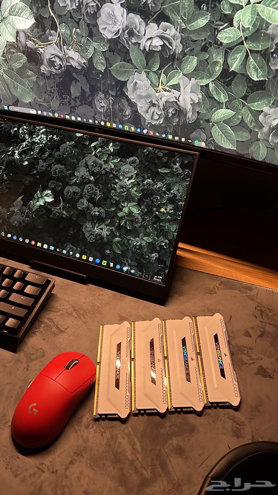 رامات بيضاء ddr463026848459522114