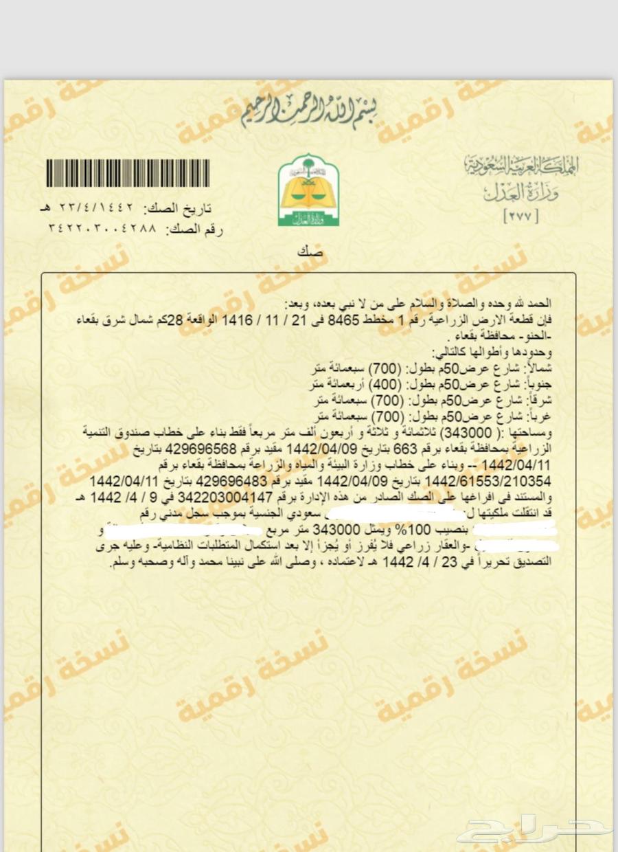 دواجن لاحم63023330585986112