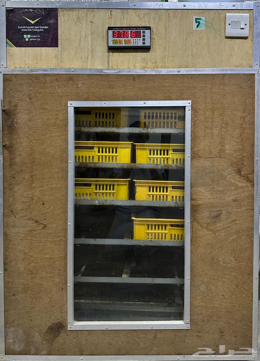 Semi-new incubators63025561505538116