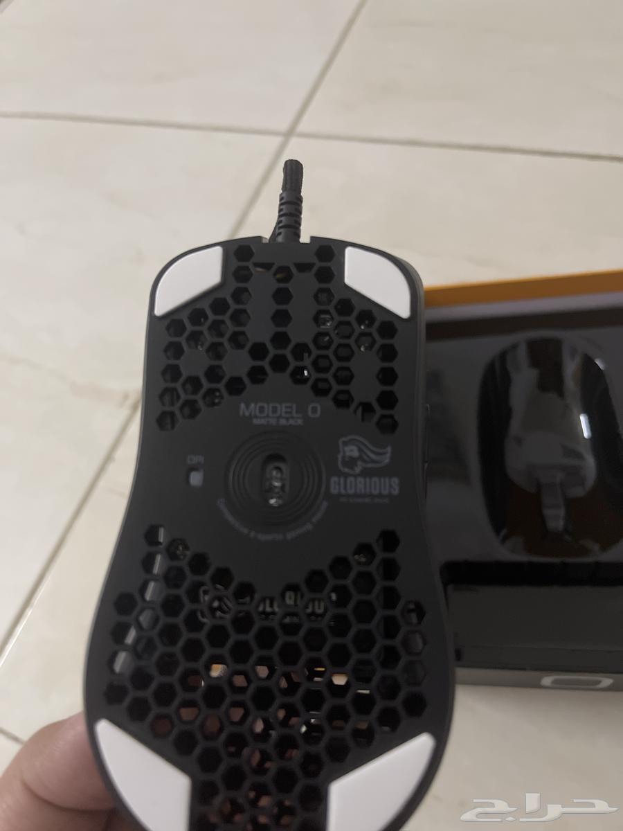 Glorious Mouse Model o63022877892355111