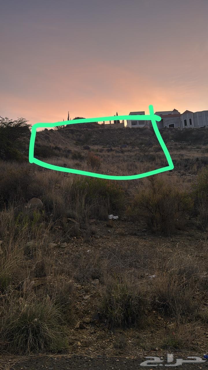 Residential land for sale in Abha63013825319811113